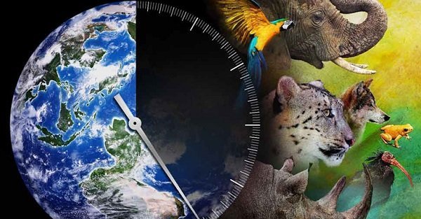 World Environment Day is a fitting occasion to reflect on the state of our planet's biodiversity and the critical question: Are we in the middle of a man-made Sixth Mass Extinction?